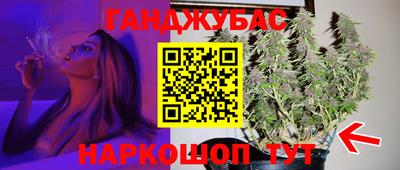 сатива Гагарин