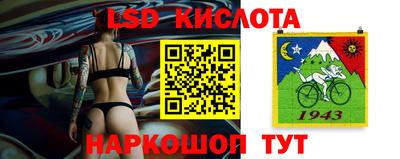 эйфоретик Гатчина