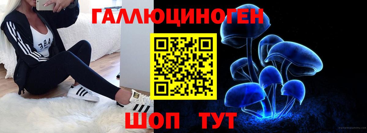 Галлюциногенные грибы GOLDEN TEACHER  Вход с VPN  Медногорск  Галлюциногенные грибы мухоморы 
